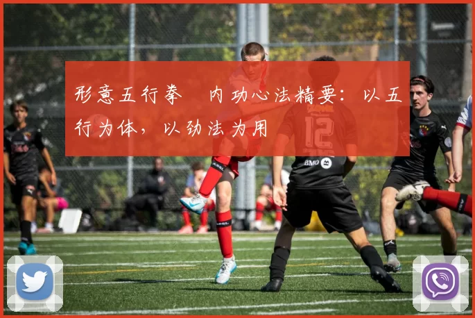 形意五行拳・内功心法精要：以五行为体，以劲法为用