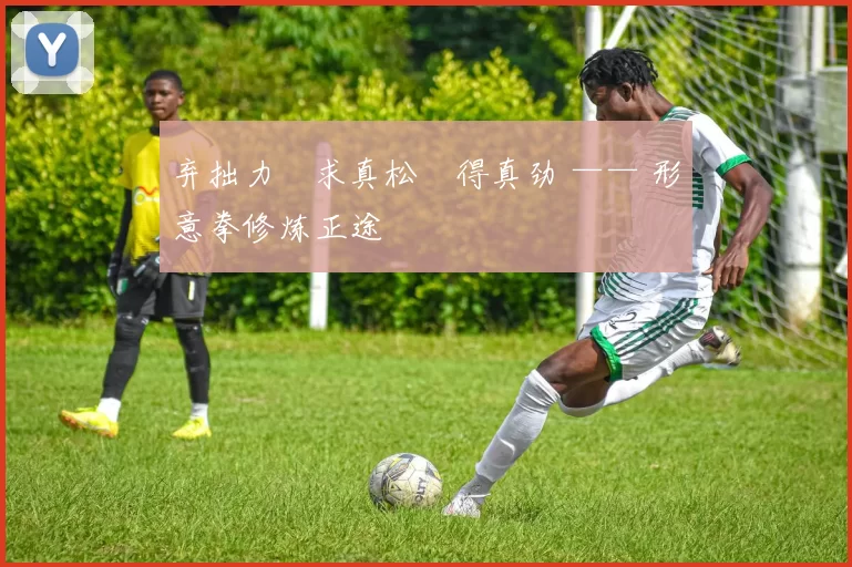 弃拙力・求真松・得真劲 —— 形意拳修炼正途