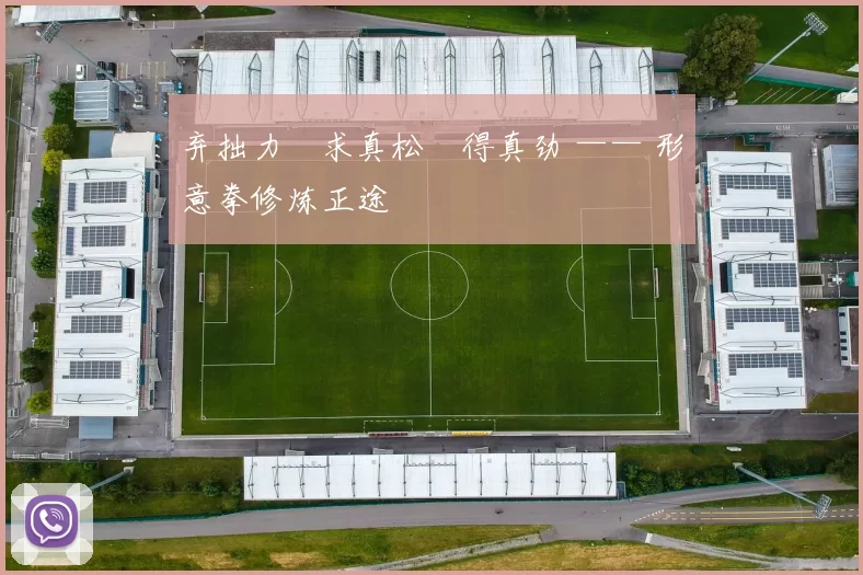 弃拙力・求真松・得真劲 —— 形意拳修炼正途